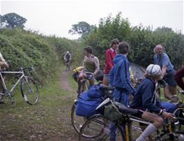 One of a maze of tracks between Selworthy and Allerford.  Against all odds, Frank made it through the jungle.