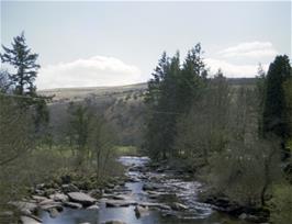 The River Dart, from the bridge at Dartmeet