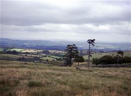 The exhilarating descent of the Abbots Way towards Cross Furzes, at Water Oak Corner