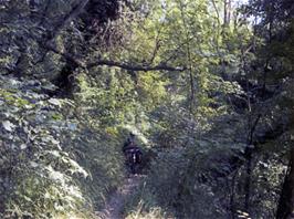 Carl on the "road to the hostel that gradually deteriorated into a stoney track"