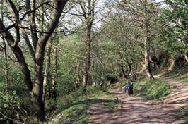 The third part of Colin's track route between Elmscott and Clovelly.  Do you know where this is exactly?