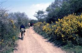 Colin leads us off-road from Heale towards Hunter's Inn