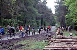 Torbay meets Exeter at a secret location somewhere in Haldon Forest