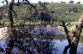 The stepping stones crossing the East Dart River at Week Ford