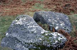 The Coffin Stone, halfway up Dartmeet Hill, once used for resting coffins on the journey from Dartmeet to Widecombe