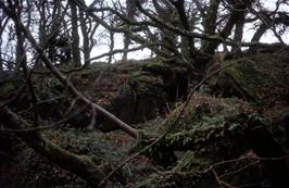 I believe this is a view around the rear entrance of the cave, although the exit is far smaller than the entrance