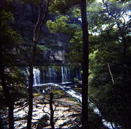 The Sgwd Clun-gwyn waterfall (Photo: Kevin Presland)