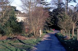 The impressive driveway to Golant youth hostel