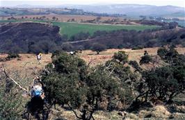 Starting the descent from Lud Gate to Chalk Ford, with Scoriton Down beyond