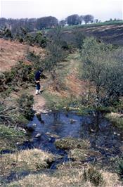 Stephen Downer at the boggy stream that we had to cross to reach to Chalk Ford