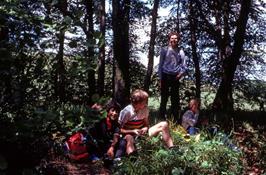 Lunch in Silveridge Wood, by the river Avon near Loddiswell