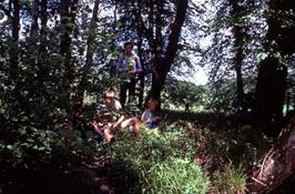 Lunch in Silveridge Wood