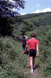 Our excursion on foot along the overgrown course of the old railway towards Topsham Bridge