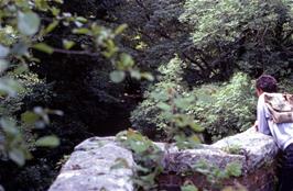 View to the river Avon from the disused railway bridge near the lunch spot in Silveridge Woods