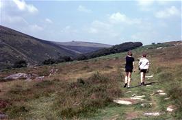 Approaching Wistman's Wood, with Crow Tor on the horizon