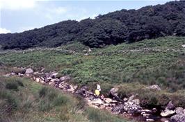 The West Dart River, with the ancient Wistman's Wood beyond