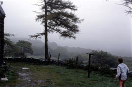 Misty views to the Rhinogs from Gerddi Bluog youth hostel