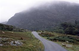 Approaching Lake Cwm Bychan, with the towering Carreg-y-saeth mountain ahead