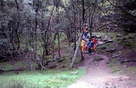 The path continues through the woods, and really isn't too bad at the moment