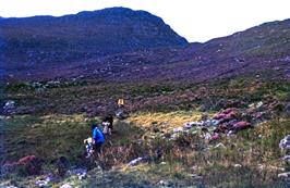 The rough and boggy descent, with the lower slopes of Rhinog Fawr on the left (underexposed)