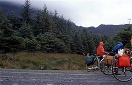 The last members of the group arrive at the forest road with great relief