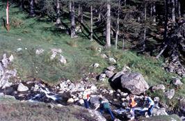 Glenn, Mark, Jason and Justin in the Nant Cadair stream