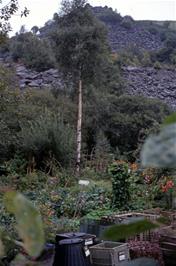 Crop rotation at the Alternative Energy Centre