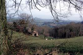 View to New Barn, Luscombe Wood and Hood Ball from the Rattery to Buckfastleigh road near Pennywell Farm