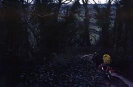 Descending the steep track to Hansel Mill.  This is probably Eddie and Iona