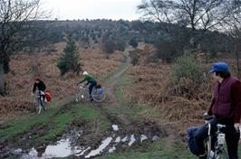 John Roome, Phil Burrows and Andrew Billington descending the track from Longstone Hill on the Quantock Hills to Holford 