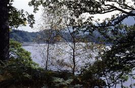 Loch Katrine from the cycle path