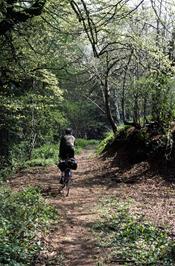 Colin rides the tandem down the first part of the Sharpham House track