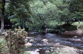 I believe this was taken today at Fingle Bridge