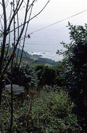 Sea views from Coverack youth hostel