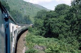 View from the train just past Ardlui