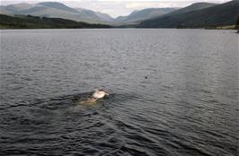 Tom desperately tries to retrieve his water bottle from Loch Ossian