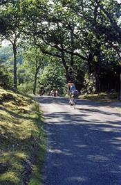 Cycling along the lane to Port Henderson