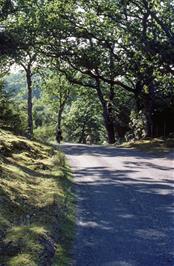 Cycling along the lane to Port Henderson