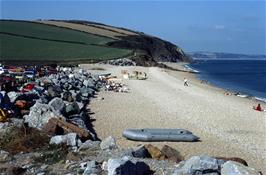 Beesands