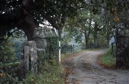 The impressive driveway to Hazelwood in the Avon Valley, just south of Gara Bridge