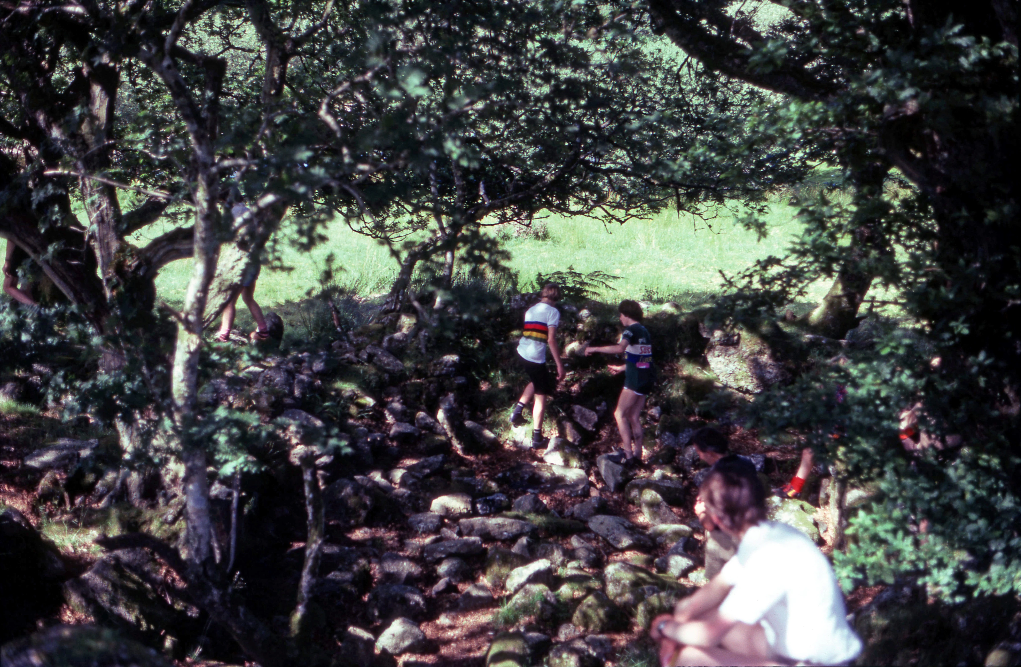 View of the Blowing House from the top, with the mortar stone near Kevein's feet and the mould stone on the left.  The stepping stones over the river are to the left.