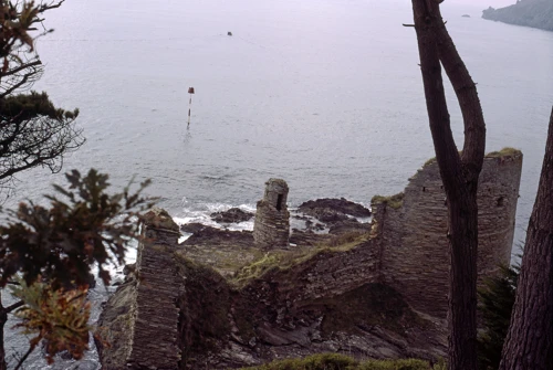 Fort Charles, Salcombe
