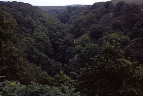 A final look back at the Hepste valley on our way back to the bikes
