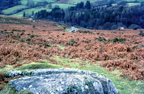 If you want to find the Coffin Stone for yourself, this photo, looking down Dartmeet Hill, may be helpful