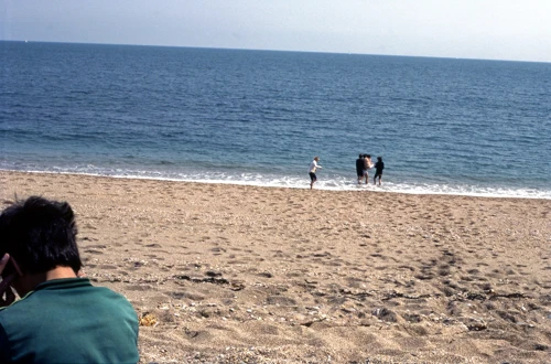 Frances Lofty had planned to stay out of the sea ..