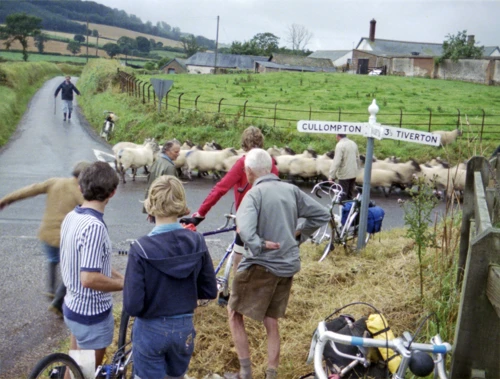 Antony’s puncture at Way Mill, Butterleigh; a farmer wrangles wayward sheep.