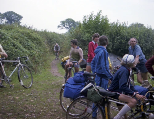 One of a maze of tracks between Selworthy and Allerford. Against all odds, Frank makes it through the jungle.