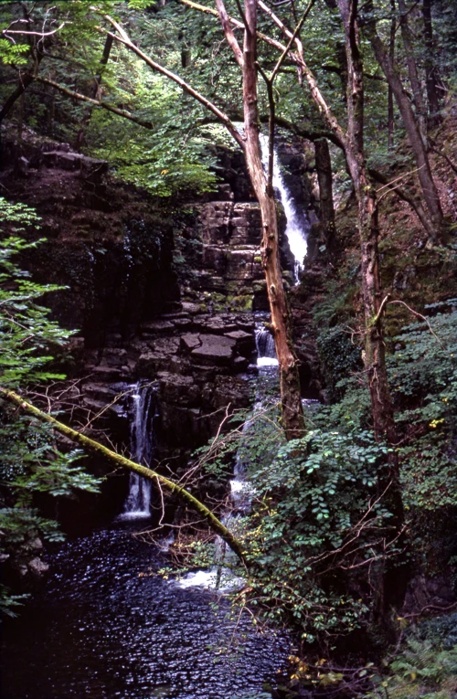 02 Sep 1981 · Wales: Day 5: Ystradfellte to Home
