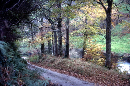08 Nov 1981 · Hennock Reservoirs