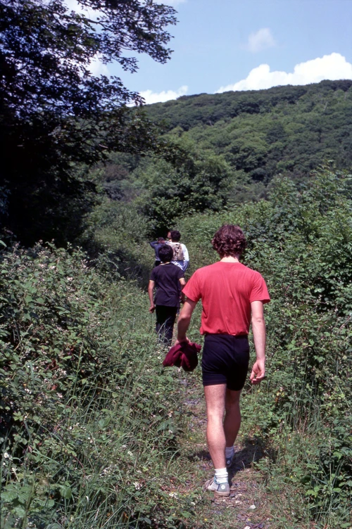 13 Jun 1982 · Silveridge Wood (SX 728494)